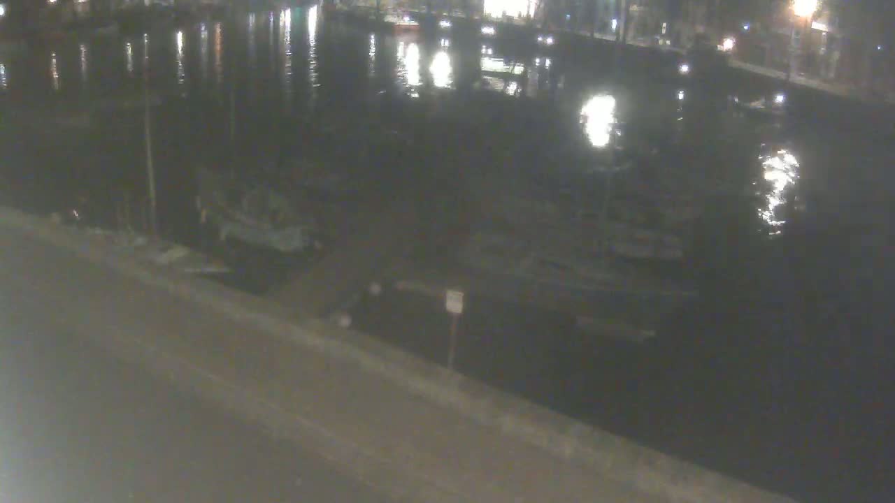 At night, several boats are moored along a dark, calm body of water next to a paved road.