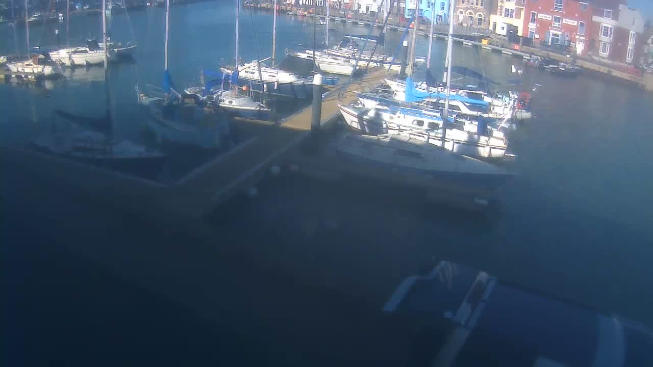 Numerous sailboats are moored at a dock on a sunny day.
