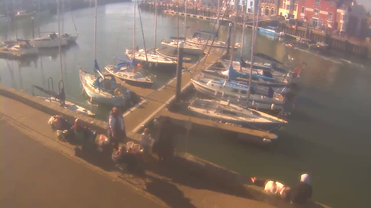 Many sailboats are docked in a marina on a sunny day, with several people standing and sitting on a nearby dock.