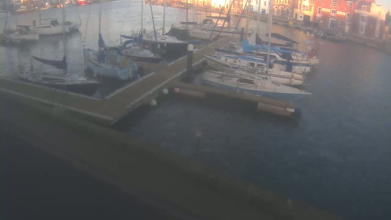 Many sailboats are moored at a dock in calm water next to buildings.