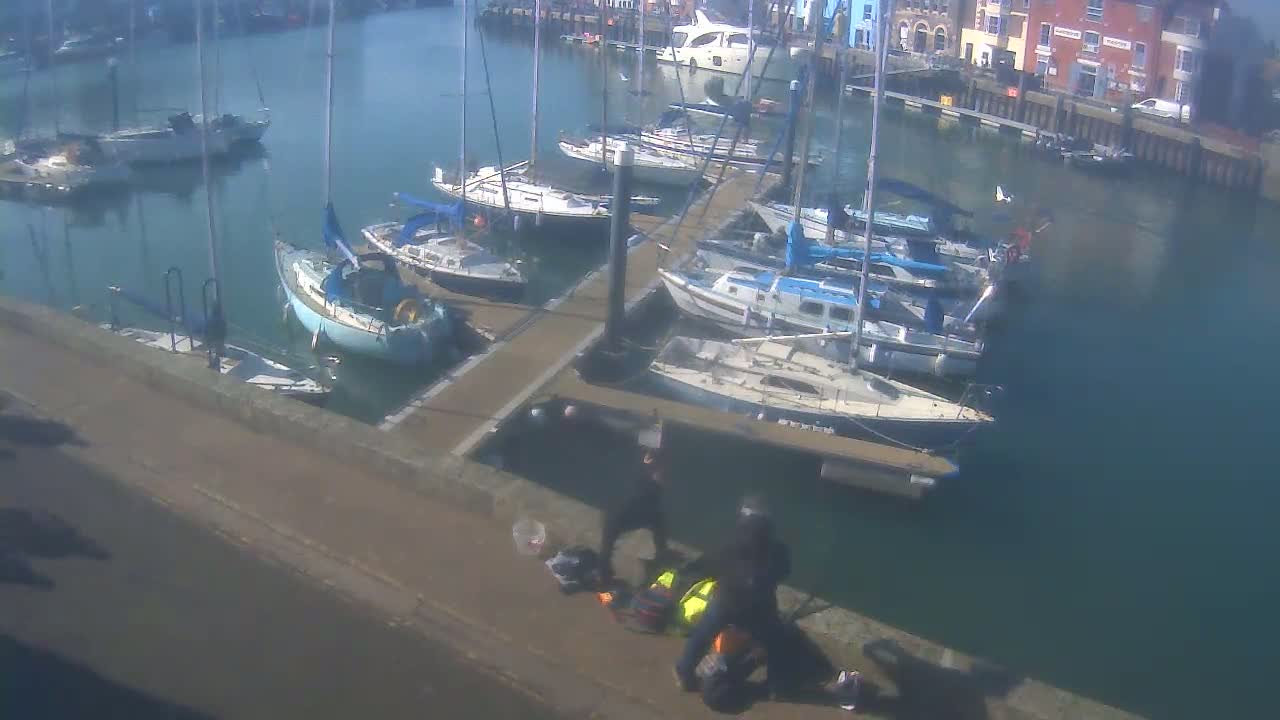 Several sailboats are docked in a marina on a sunny day, with a few people gathered near the water's edge.