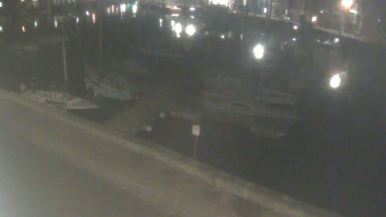 At night, several boats are docked along a dark body of water next to a paved surface.