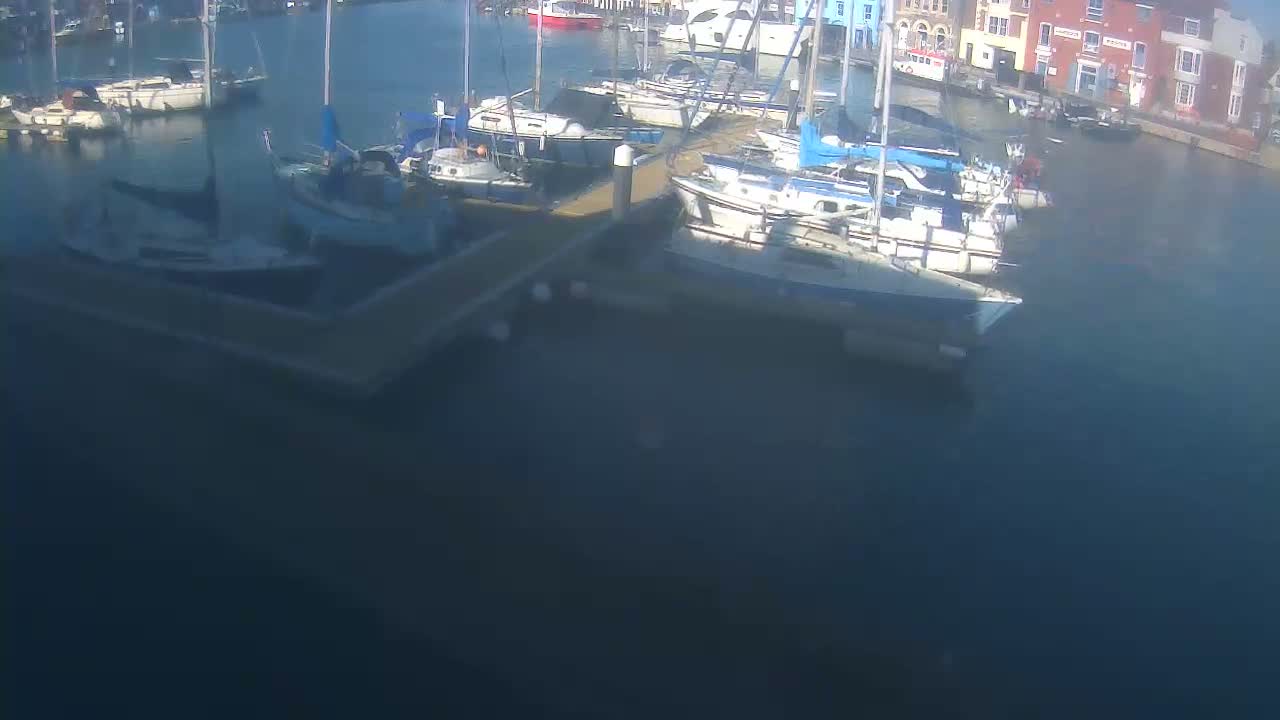 Many sailboats are docked at a marina on a calm, sunny day.