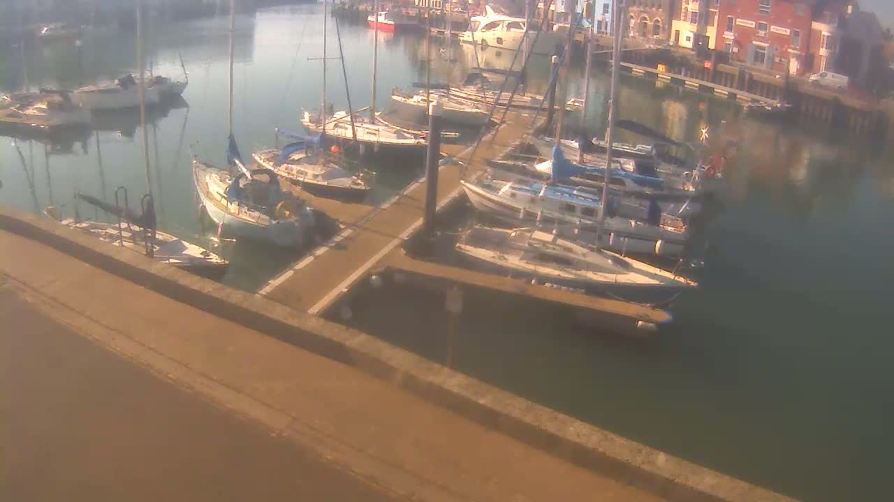 Numerous sailboats are docked at a marina on a calm, sunny day.