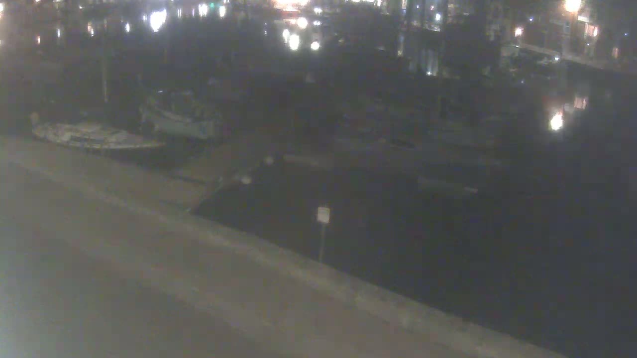 At night, several boats are moored in a dark body of water, viewed from an elevated position on a paved surface.