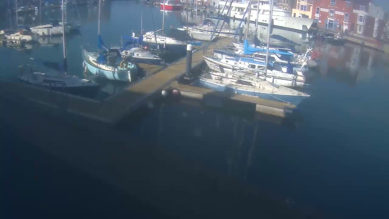 Numerous sailboats are docked at a marina on a calm, sunny day.