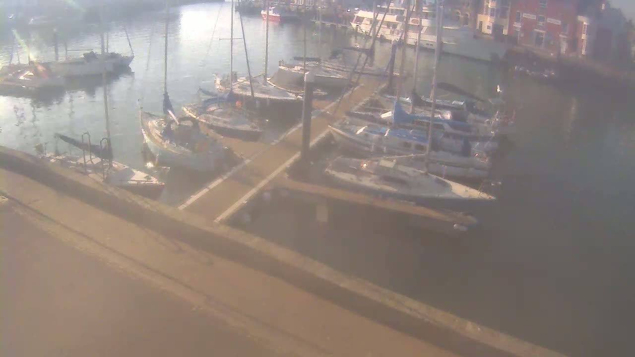 Many sailboats are docked at a marina on a hazy day.