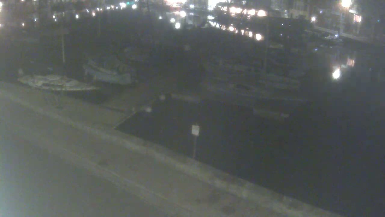 Several boats are moored at a dock at night next to a dark body of water under a clear sky.
