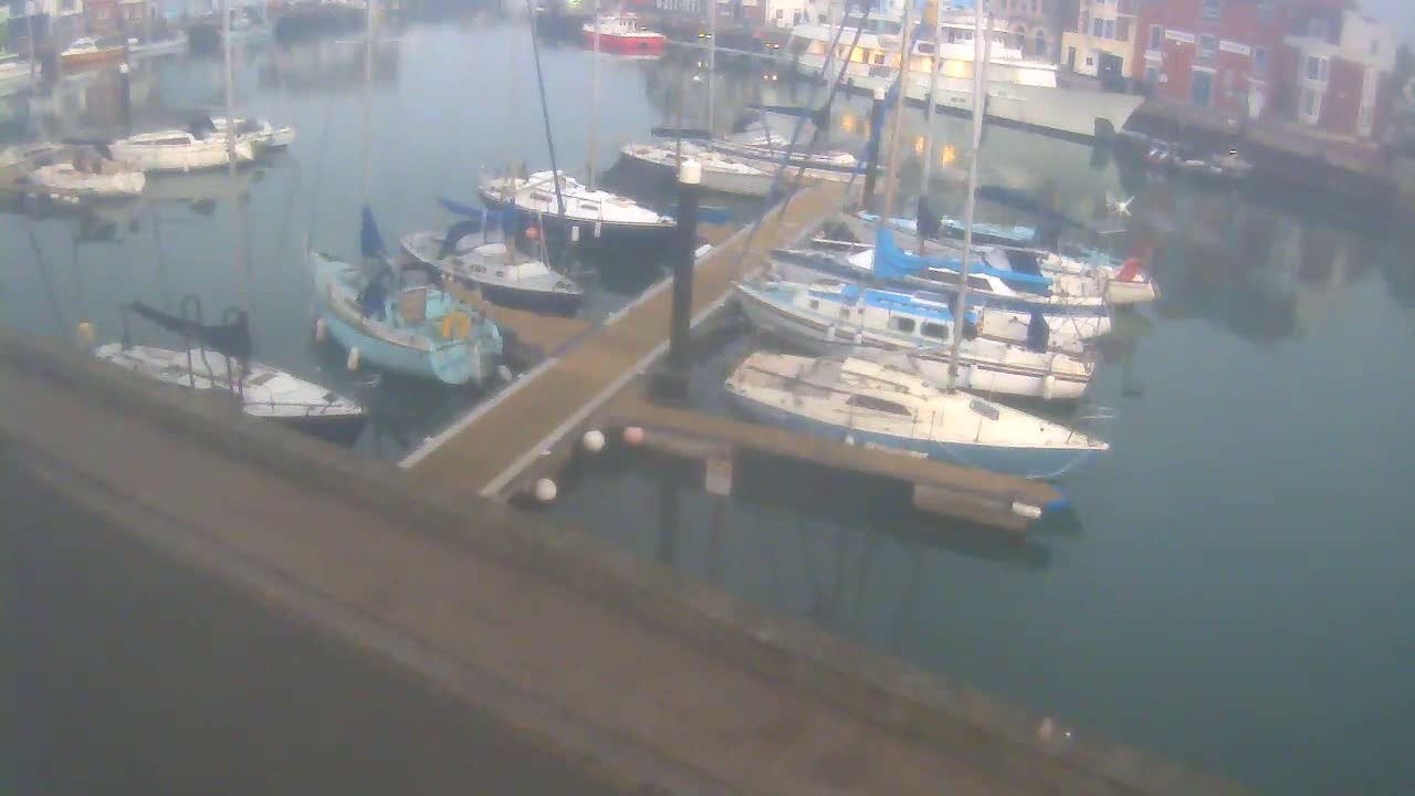 Numerous sailboats and motorboats are docked in a calm harbor next to a pier.