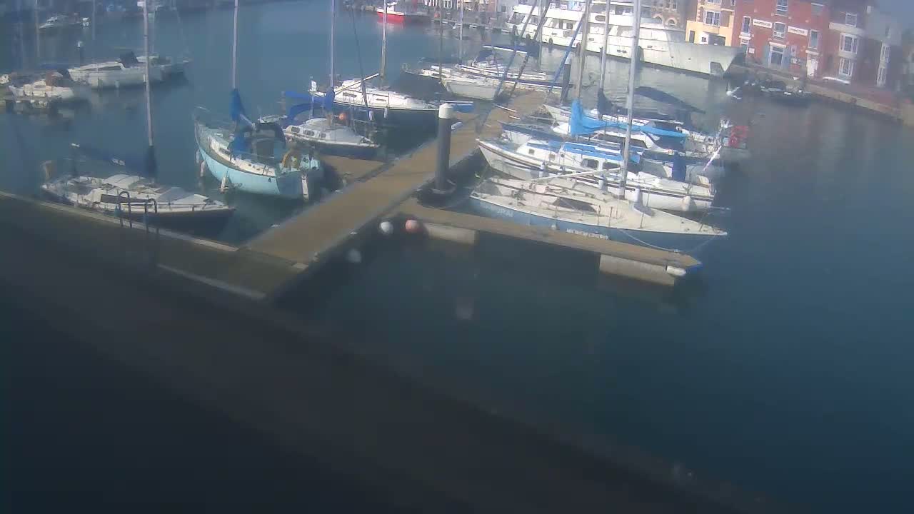 Many sailboats are docked at a marina on a calm, sunny day.
