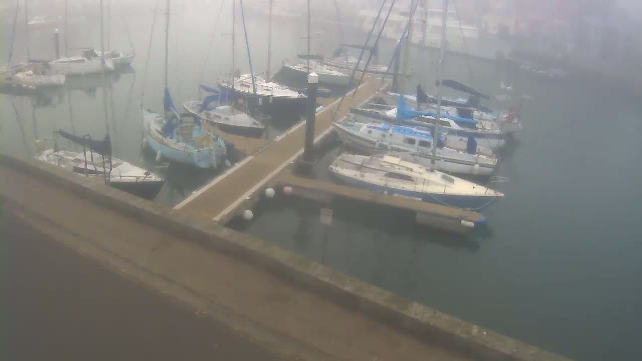 Numerous sailboats are moored at a marina in foggy conditions.