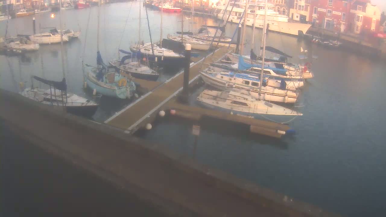 Many sailboats are docked at a marina on a calm, overcast day.