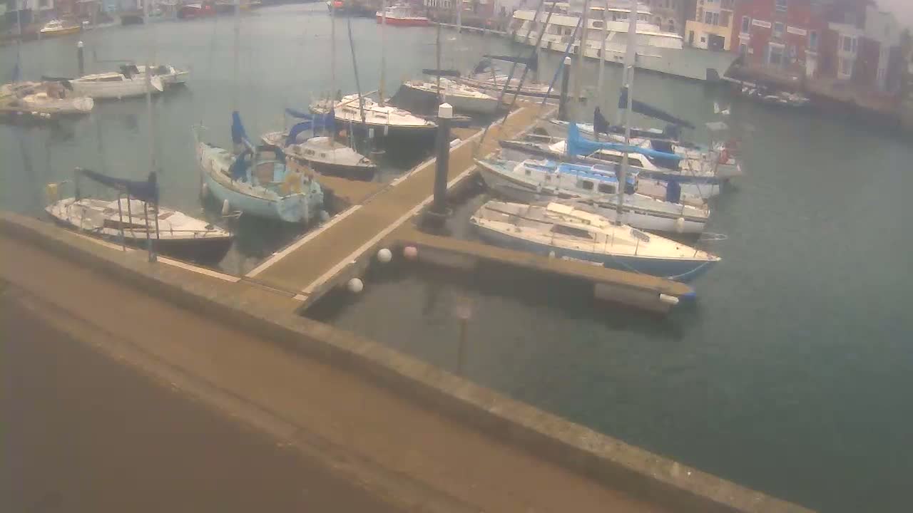 Numerous sailboats are moored in a calm harbor next to a pier.
