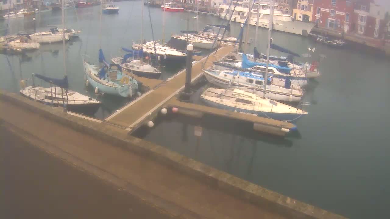Many sailboats are docked at a marina on a calm, overcast day.