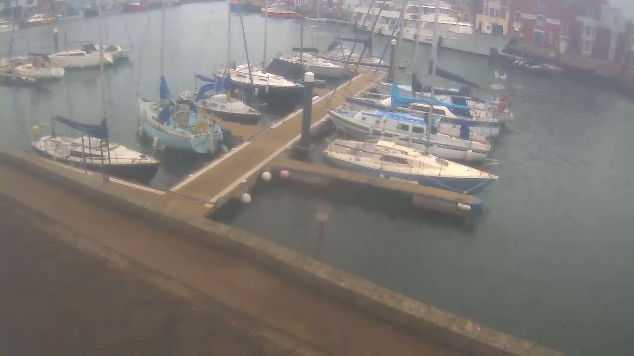 Many sailboats are docked at a marina on a cloudy day.