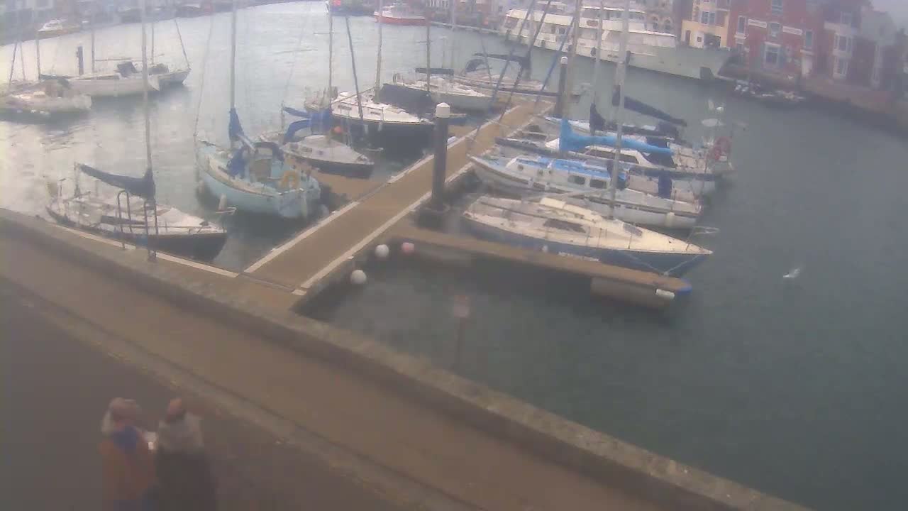 Numerous sailboats are docked at a marina on a calm, overcast day.