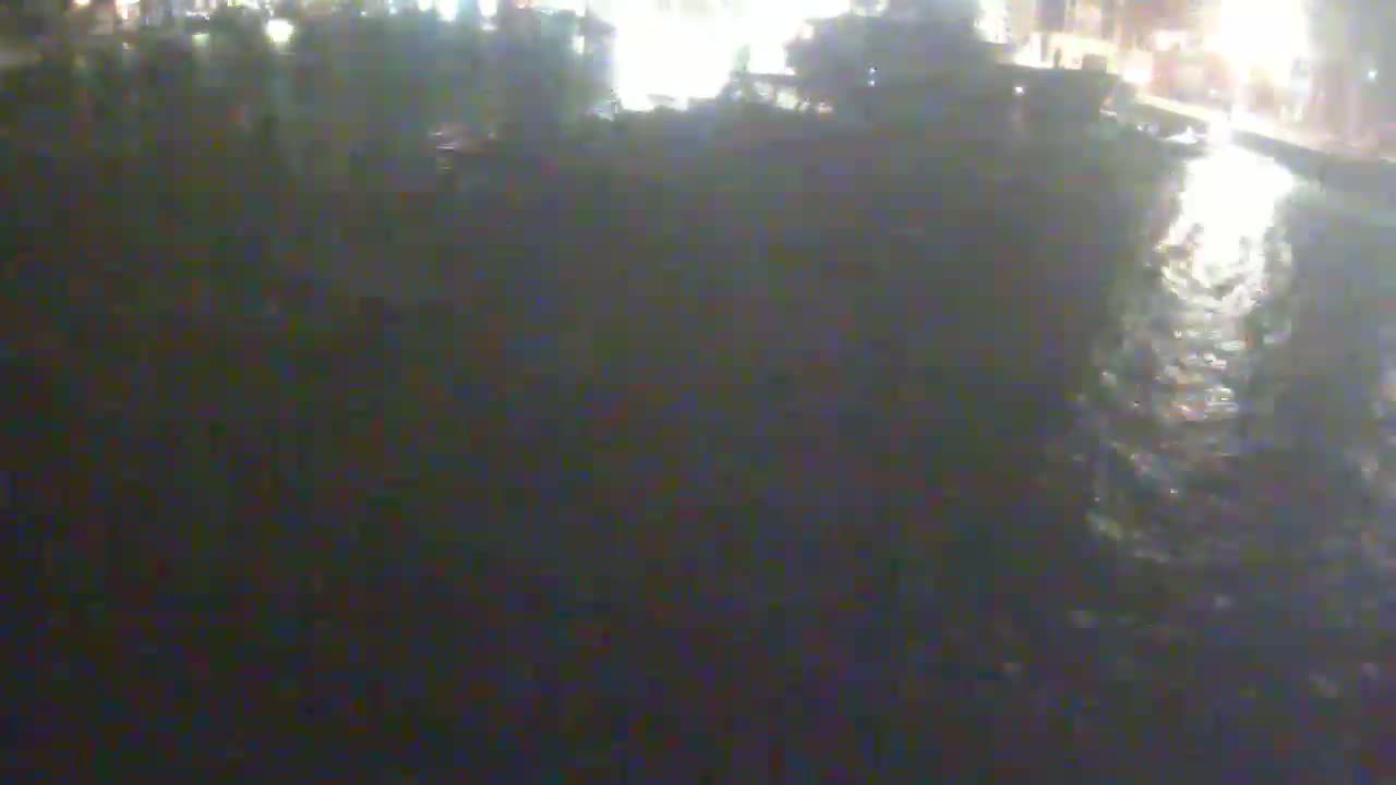 A dark, blurry nighttime scene shows a large crowd of people gathered near a body of water.