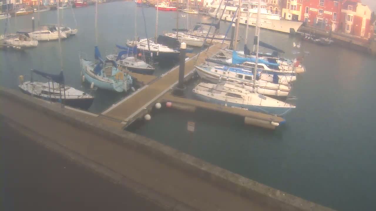 Numerous sailboats are docked at a marina on a calm, overcast day.