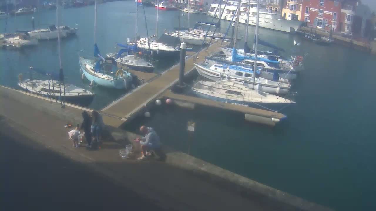 A sunny day at a marina shows numerous sailboats docked along a pier, with several people standing near the water's edge.