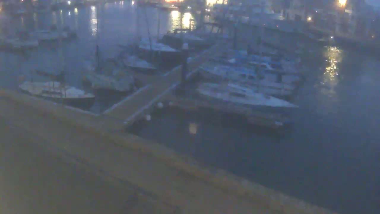 Several sailboats and motorboats are docked at a marina at night under a calm, dark sky.