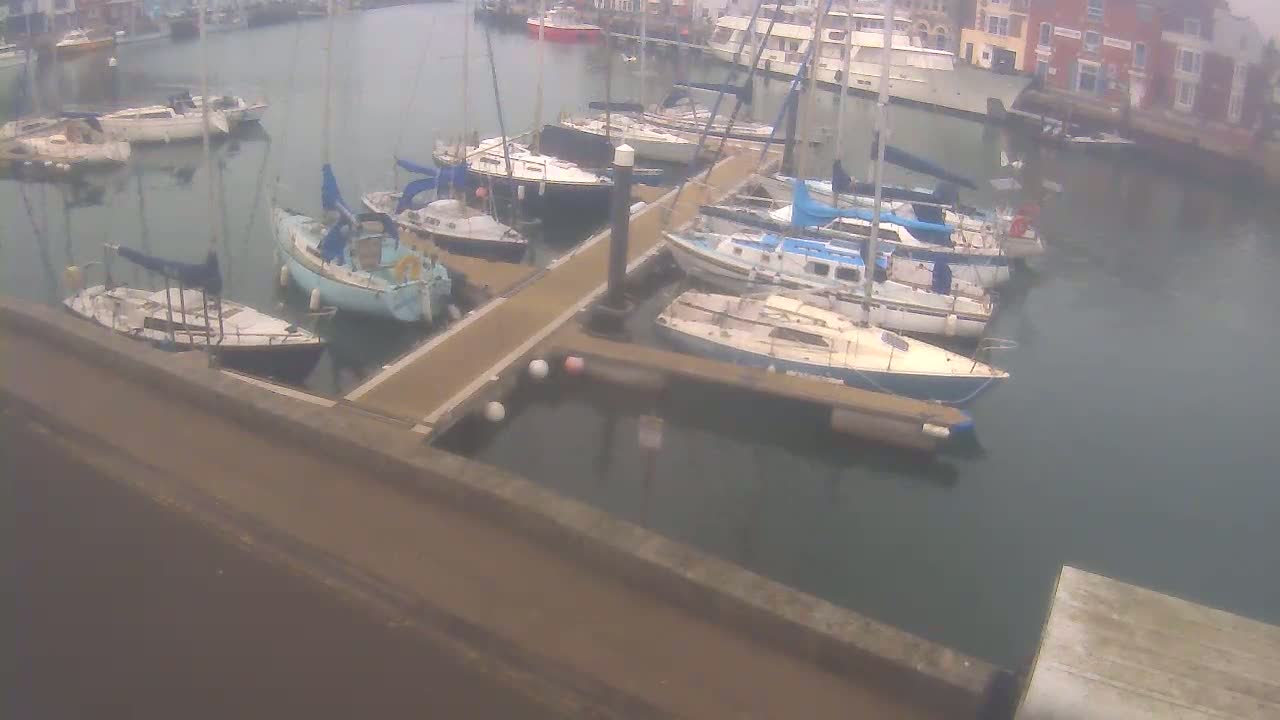 Many sailboats are docked at a marina on a calm, overcast day.