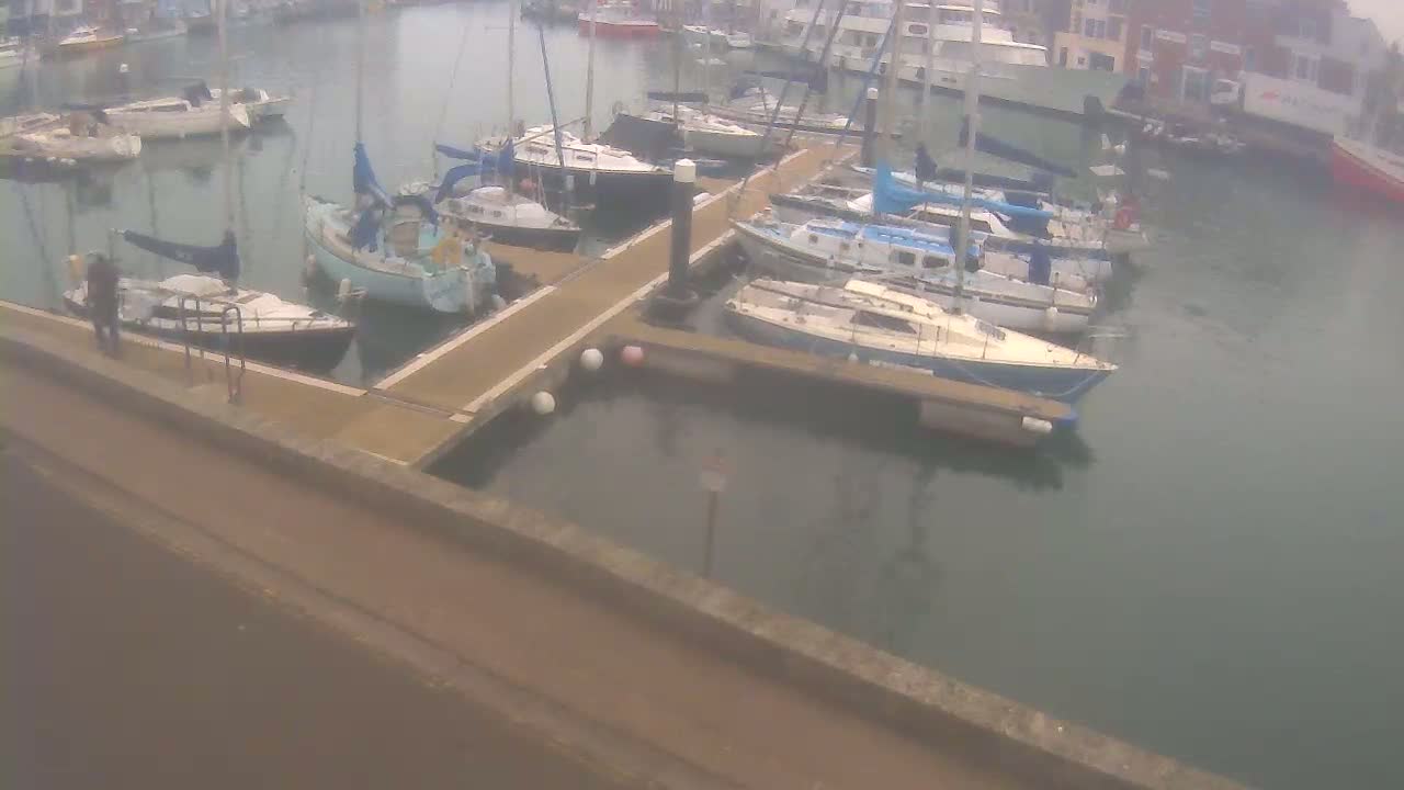Numerous sailboats are moored at a marina on an overcast day.