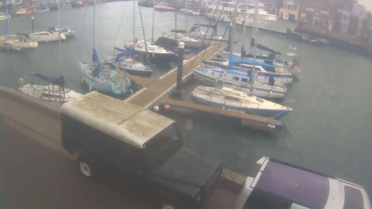 A marina with numerous sailboats moored at docks, two vehicles parked nearby, and overcast skies.
