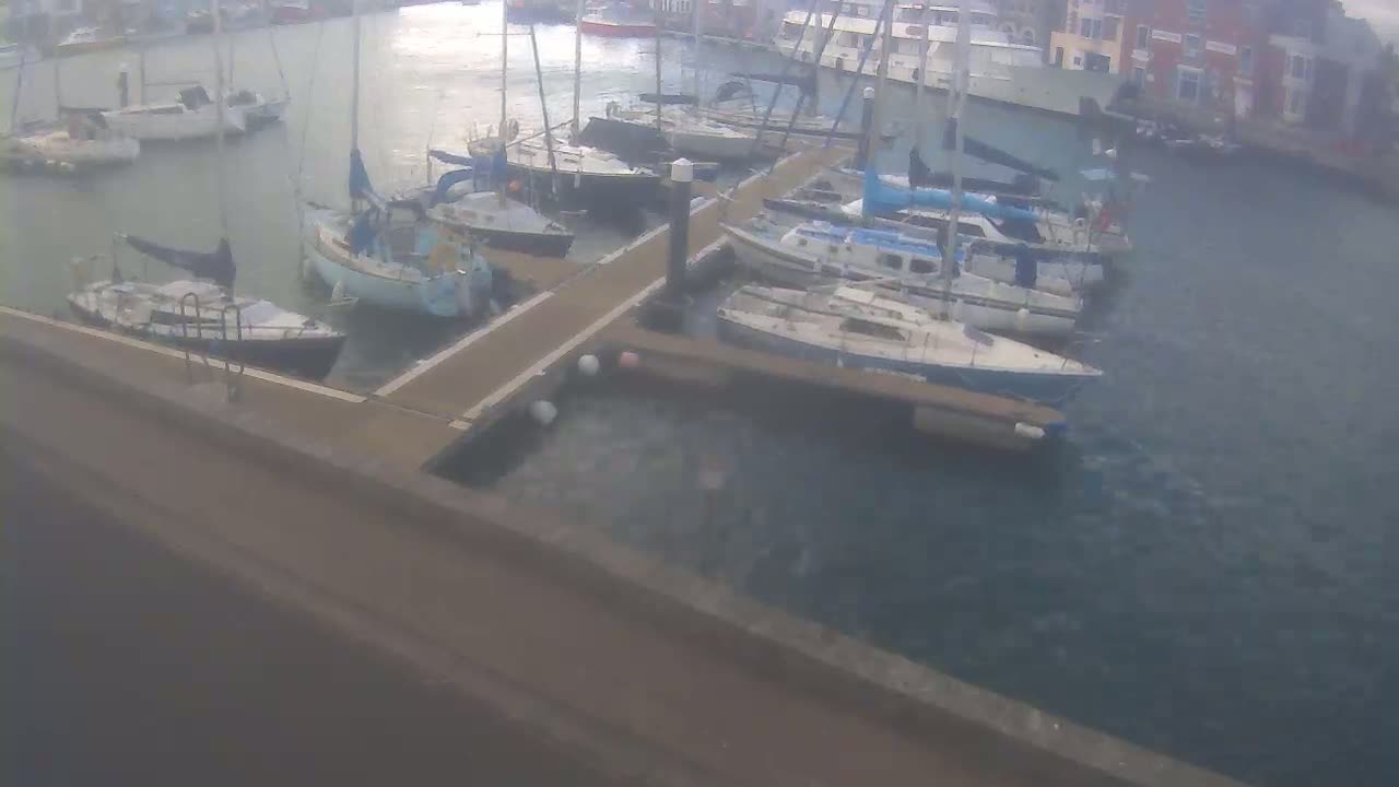 Several sailboats are docked at a marina on a somewhat overcast day.