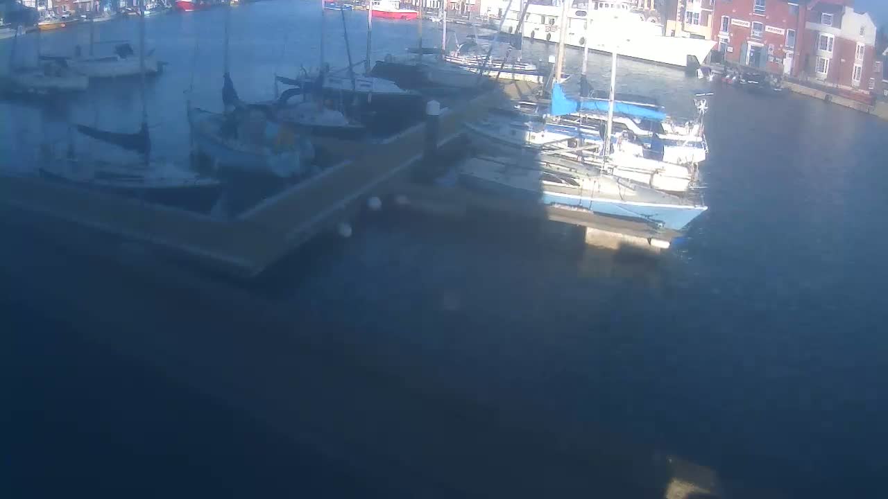 Numerous sailboats are docked in calm water next to a building.