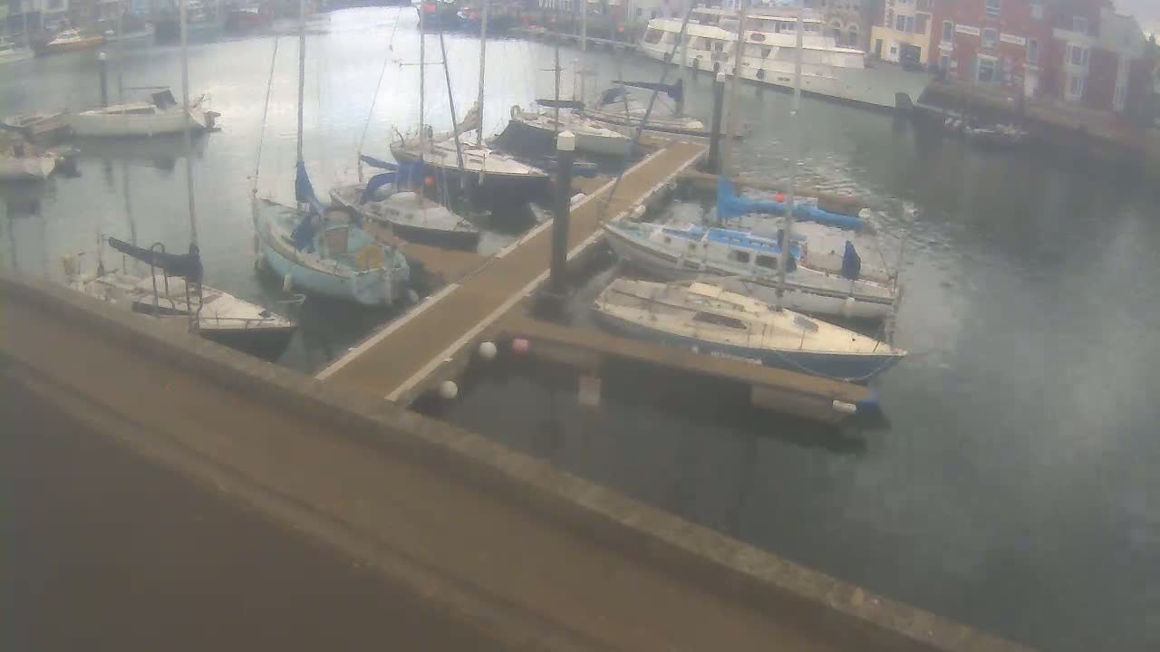 Numerous sailboats and motorboats are moored in a calm harbor next to a dock.