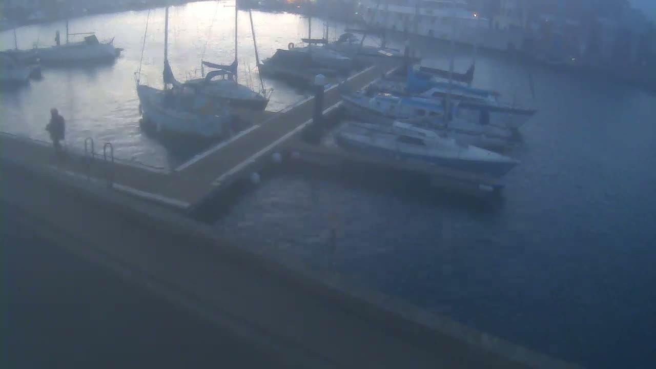 A person walks along a dock at a marina where several sailboats are moored in calm, hazy waters.