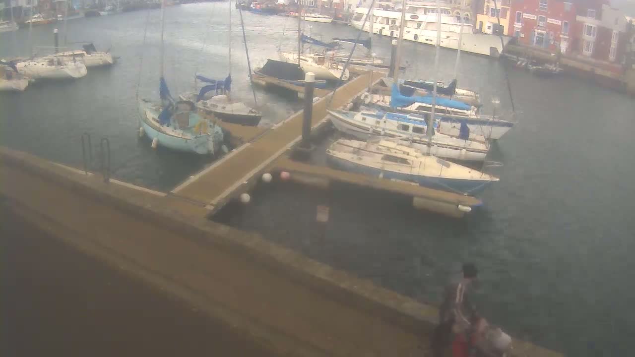 Several sailboats are docked at a marina on a windy day.