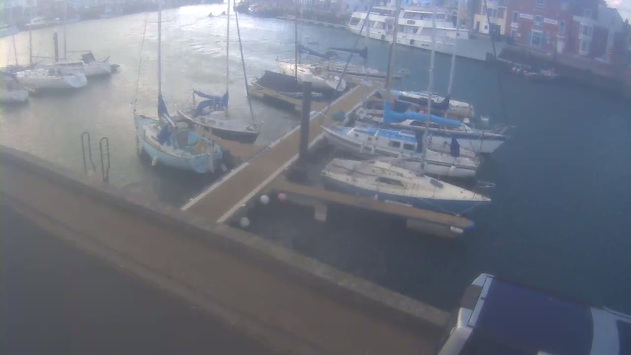Several sailboats are moored at a marina on a windy day.