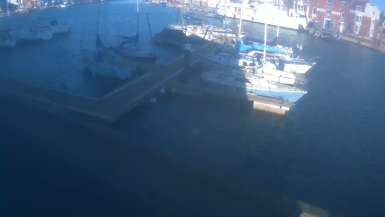 Several sailboats are moored in a calm harbor next to a dock.
