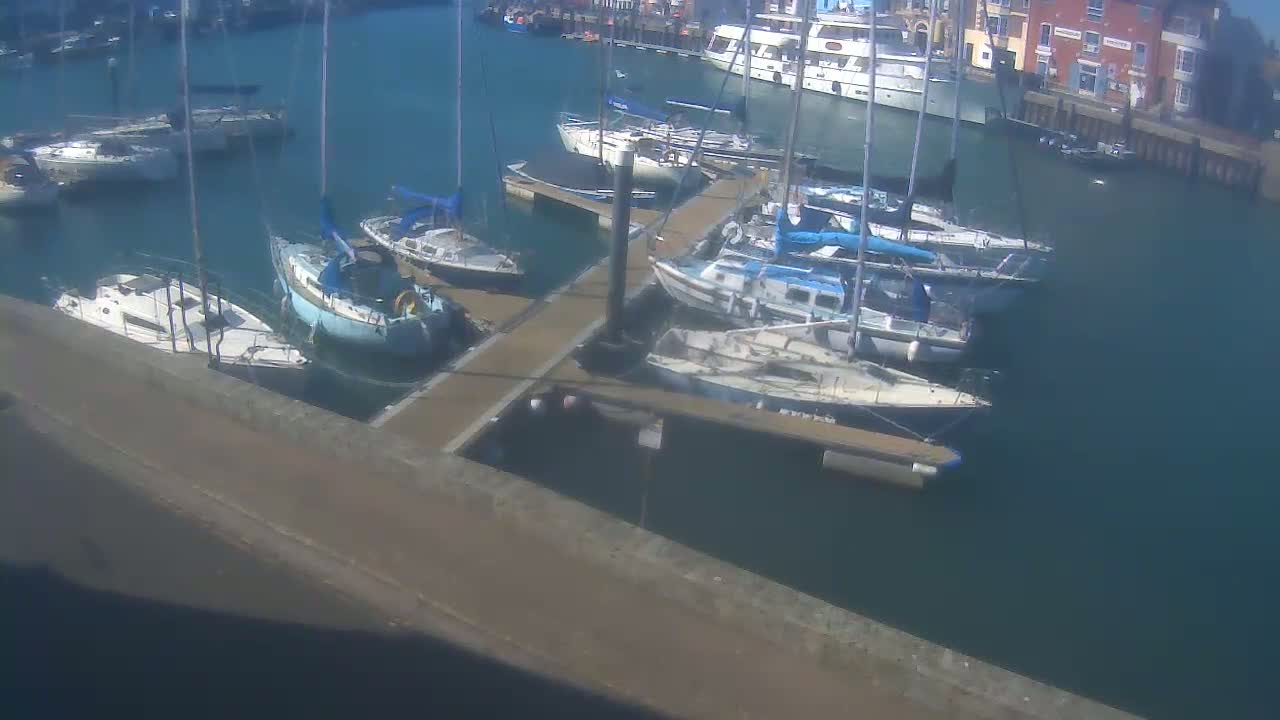 A marina filled with sailboats and motorboats on a sunny day.