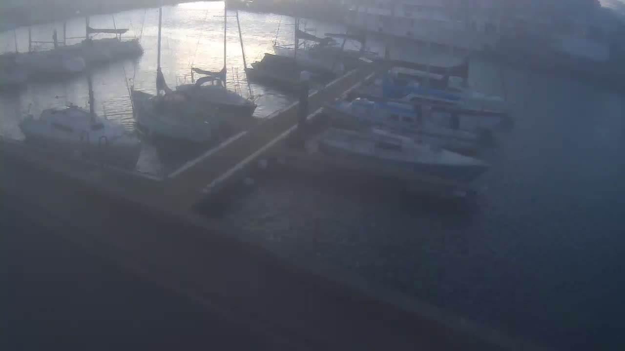 Several sailboats and motorboats are moored at a marina on a hazy or foggy day.