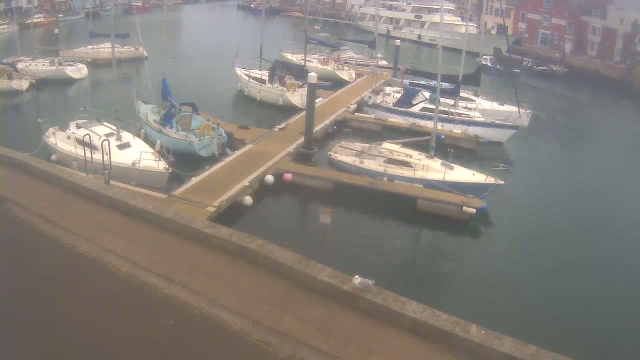 Several sailboats are moored in a calm harbor next to a walkway, with a few buildings visible in the background.