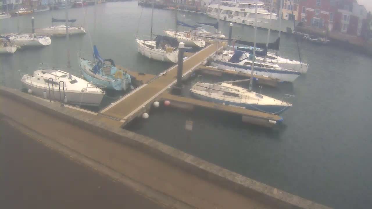 Several sailboats are moored at a marina on an overcast day.