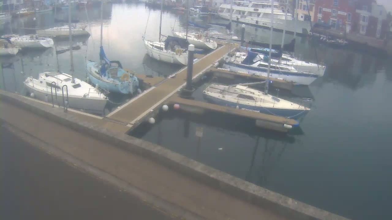 Several sailboats are moored at a marina on a calm, overcast day.