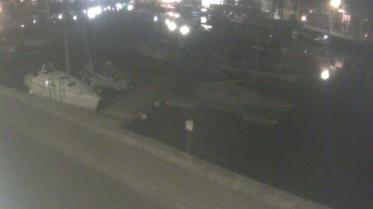 Several boats are docked at a marina at night.