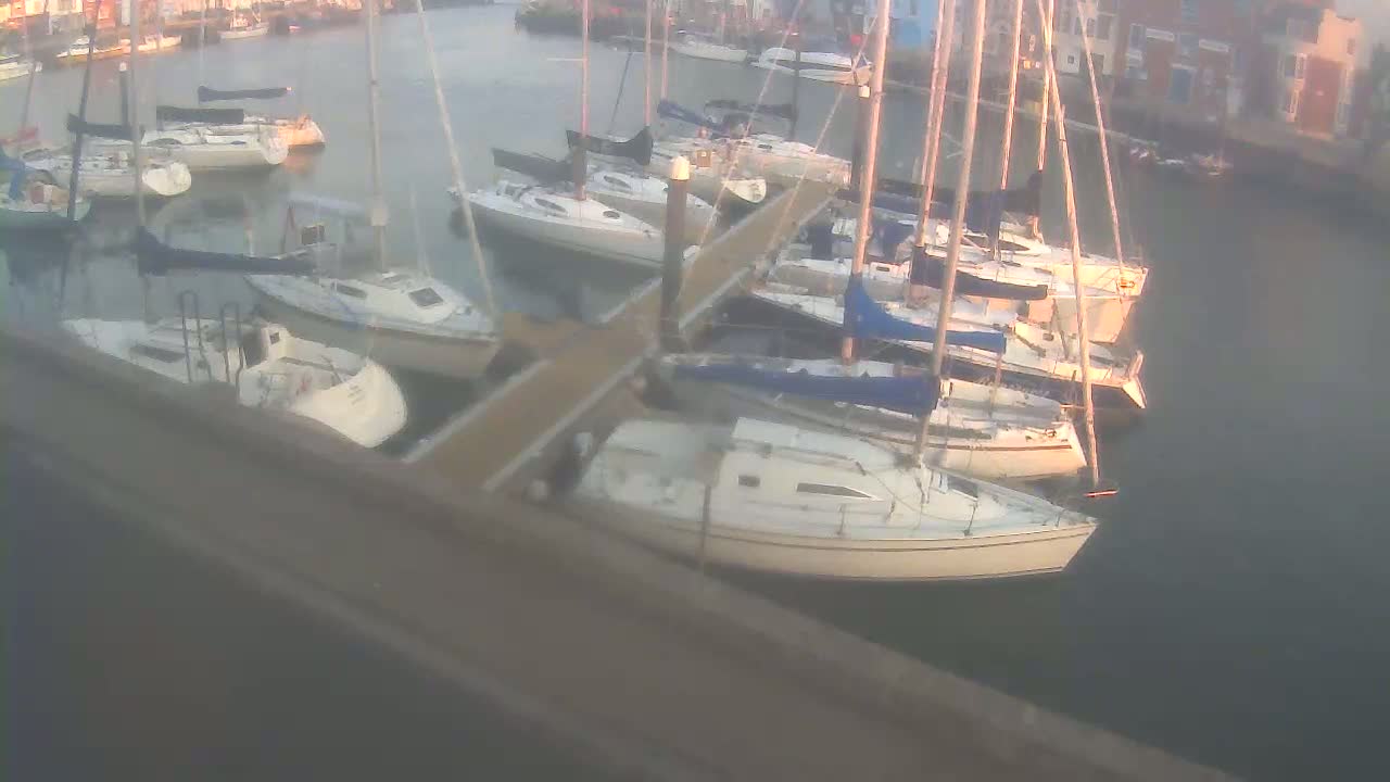 Many sailboats are docked at a marina on a calm, overcast day.