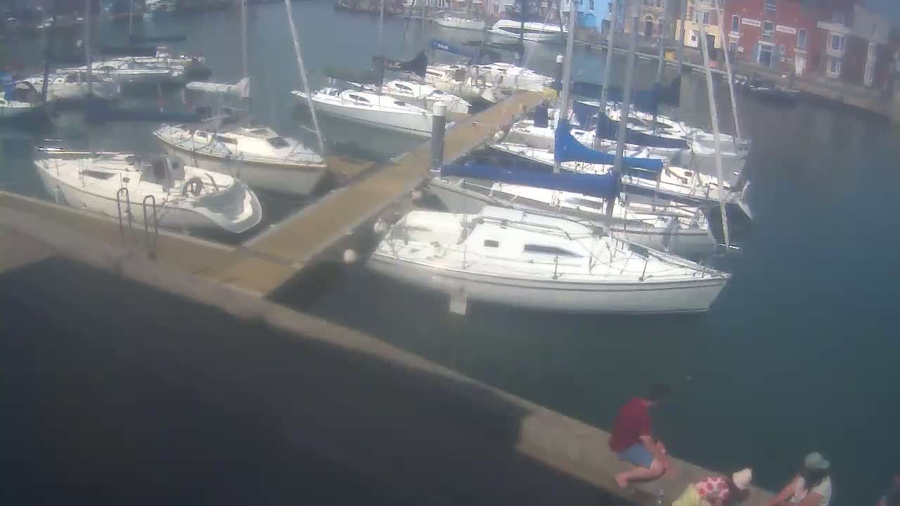 Numerous sailboats are docked at a marina on a sunny day.