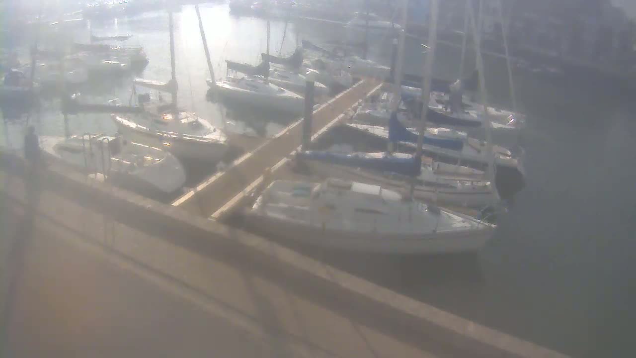Many sailboats are docked at a marina on a hazy day.