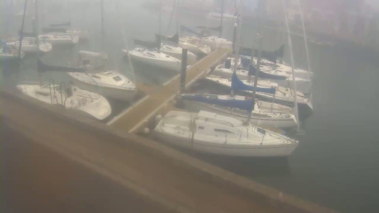 Numerous sailboats are docked at a marina on a foggy day.