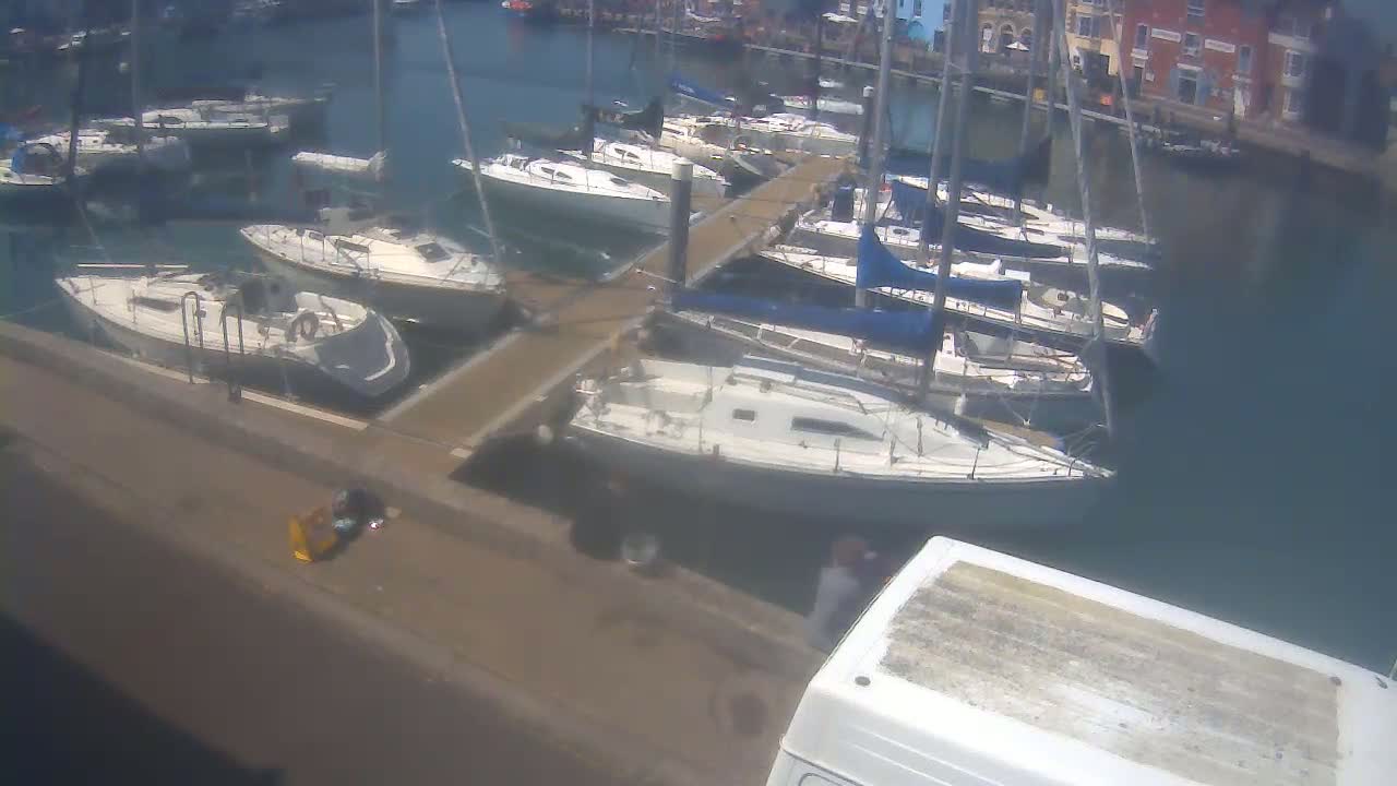 A marina filled with sailboats on a sunny day, with a van parked near the dock.