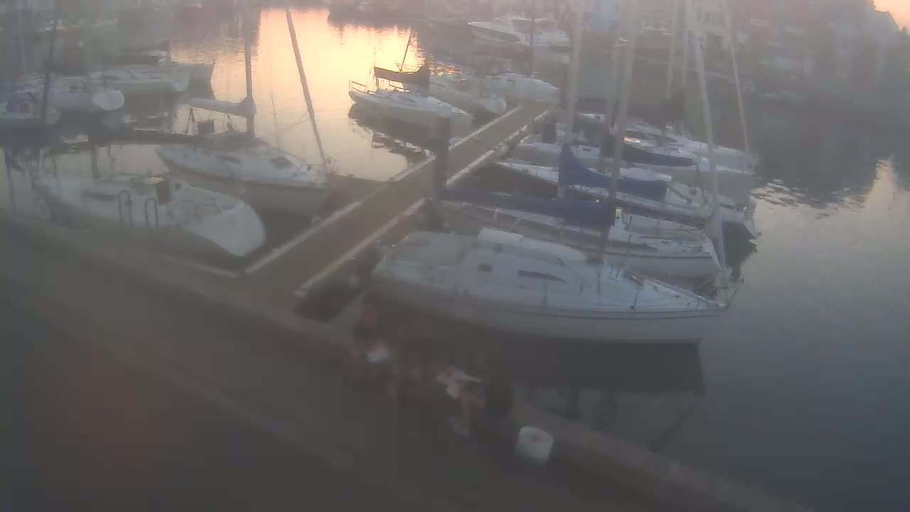 Many sailboats are docked at a marina during a hazy, sun-dappled sunrise.