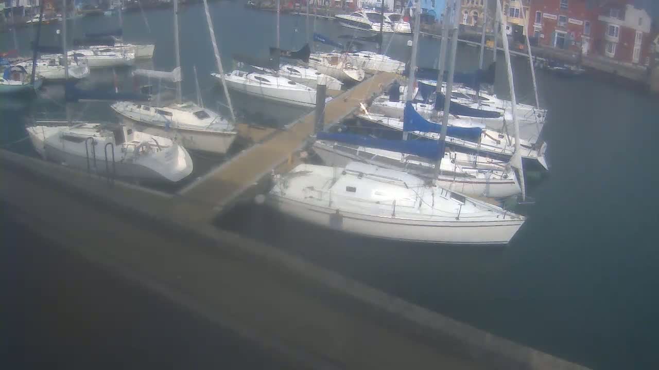 Several sailboats are docked at a marina on a calm, sunny day.