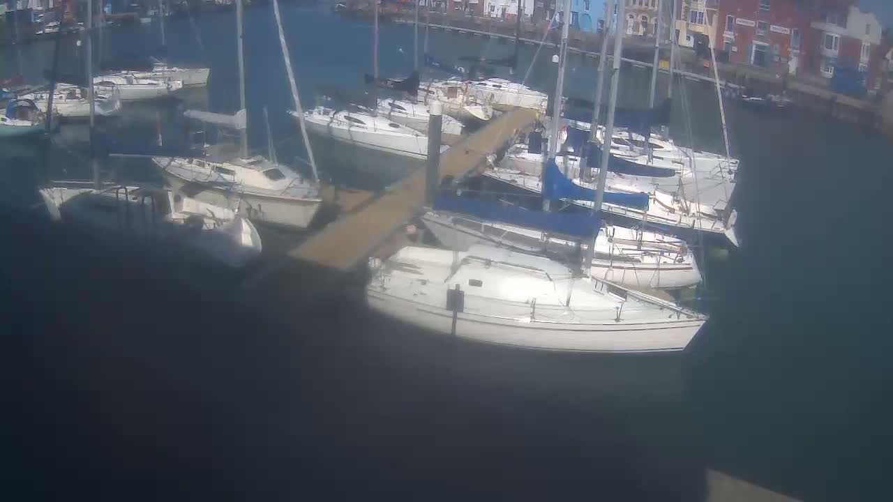 Many sailboats are docked in a marina on a sunny day.