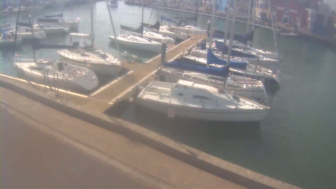 Several sailboats are docked in calm water next to a paved walkway.