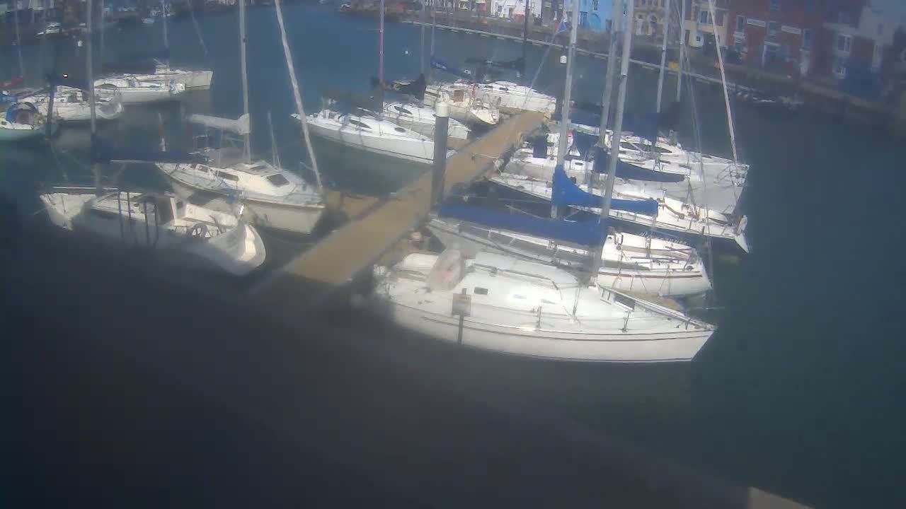 Several sailboats are moored at a dock in calm water next to a waterfront town.